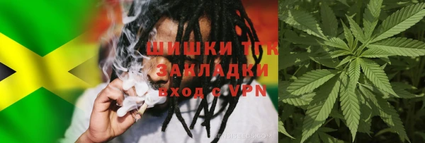 дмт Арсеньев