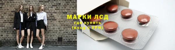 гашик Аркадак