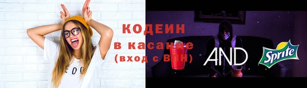 гашик Аркадак