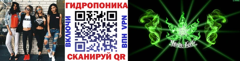 Шишки марихуана Amnesia  Россошь 